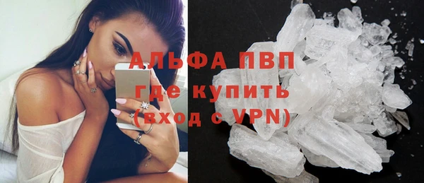 гашик Бородино