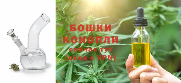 гашик Бородино