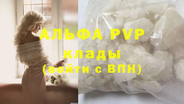 гашик Бородино