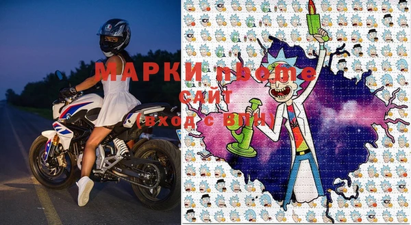 гашик Бородино