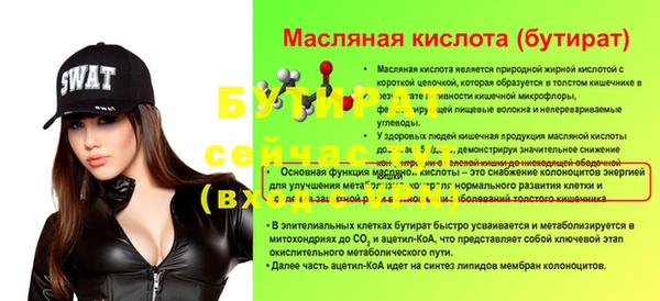 гашик Бородино