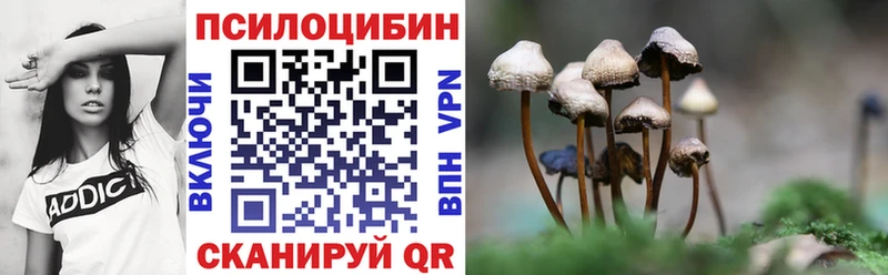 Псилоцибиновые грибы GOLDEN TEACHER  Нелидово 